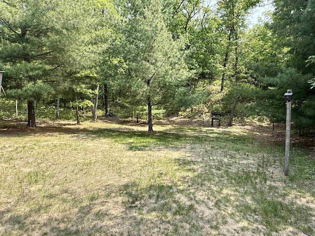 W5417 Volling Ln, Mauston, WI 53948 - view of yard featuring a view of trees