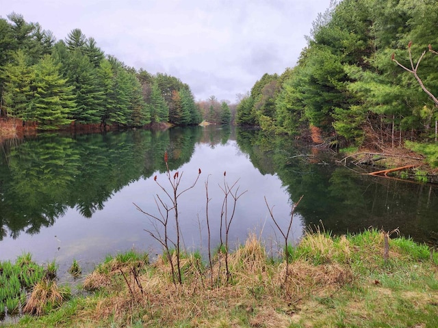 Herwig Rd, Wisconsin Dells, WI 53965
