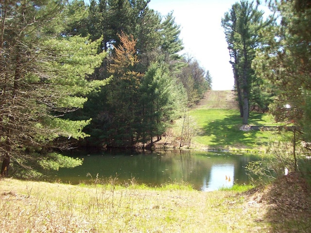 Herwig Rd, Wisconsin Dells, WI 53965