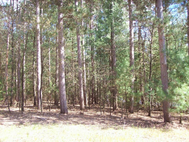 Herwig Rd, Wisconsin Dells, WI 53965