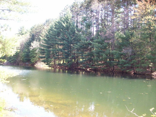 Herwig Rd, Wisconsin Dells, WI 53965
