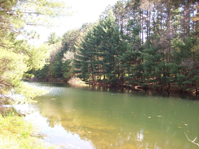 Herwig Rd, Wisconsin Dells, WI 53965