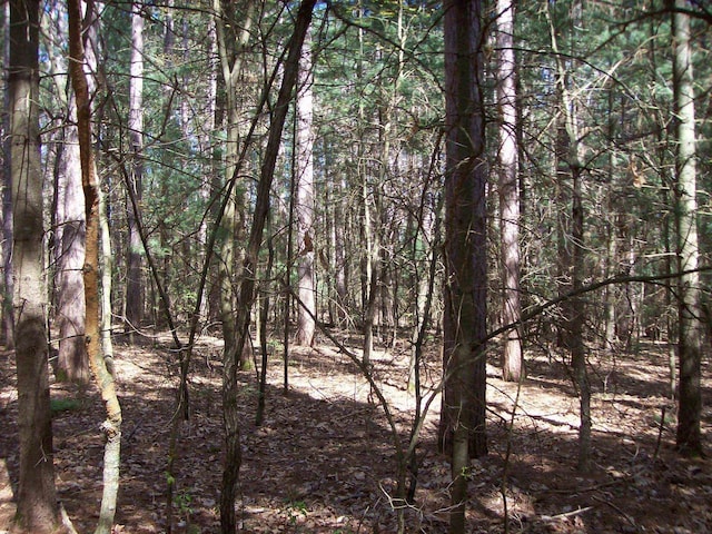 Herwig Rd, Wisconsin Dells, WI 53965