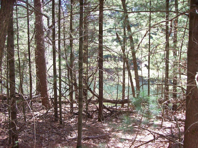 Herwig Rd, Wisconsin Dells, WI 53965