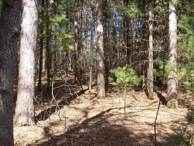 Herwig Rd, Wisconsin Dells, WI 53965