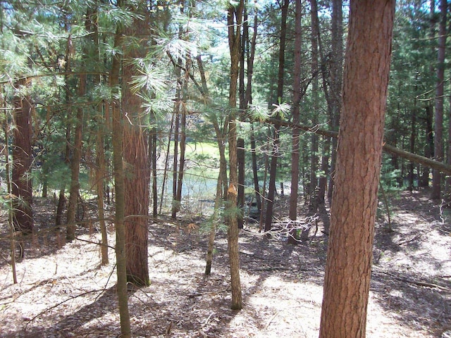 Herwig Rd, Wisconsin Dells, WI 53965