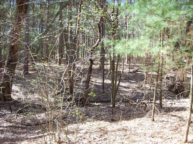 Herwig Rd, Wisconsin Dells, WI 53965
