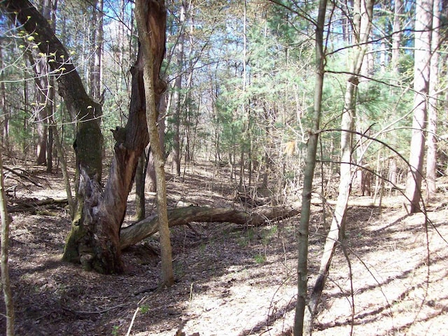 Herwig Rd, Wisconsin Dells, WI 53965