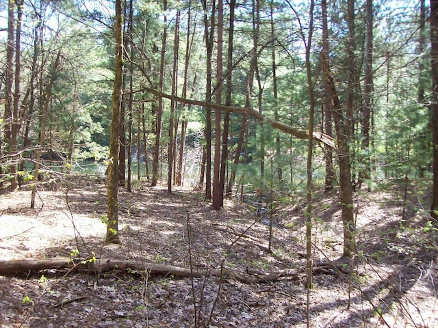 Herwig Rd, Wisconsin Dells, WI 53965