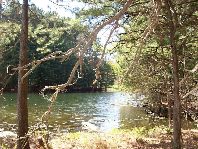 Herwig Rd, Wisconsin Dells, WI 53965