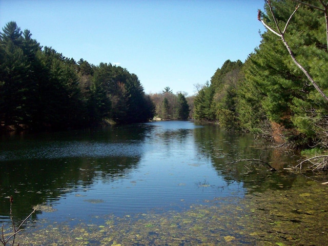 Herwig Rd, Wisconsin Dells, WI 53965