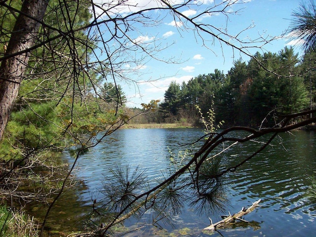Herwig Rd, Wisconsin Dells, WI 53965