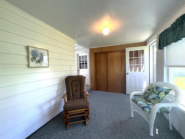 140 W Manchester St, Markesan, WI 53946 - living area featuring wooden walls and carpet floors