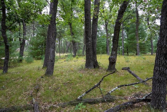 LOT46 Fern Ln, Wisconsin Dells, WI 53965