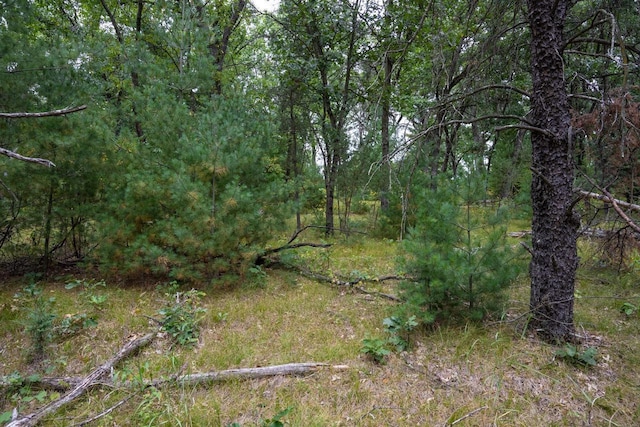 LOT46 Fern Ln, Wisconsin Dells, WI 53965