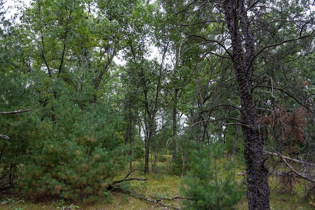 LOT46 Fern Ln, Wisconsin Dells, WI 53965