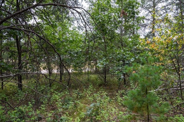 LOT46 Fern Ln, Wisconsin Dells, WI 53965