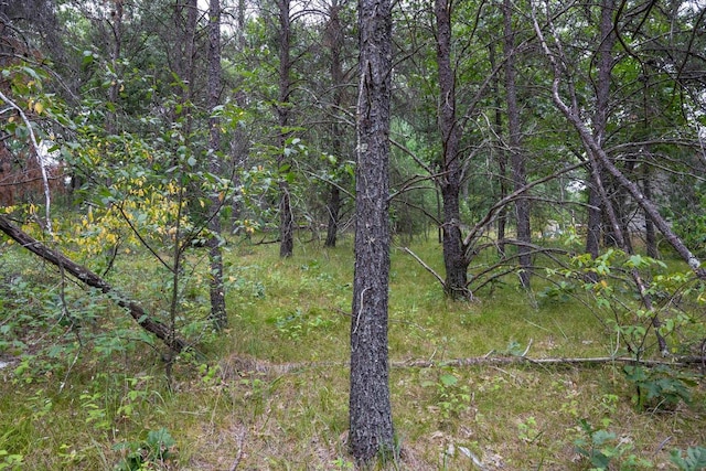 LOT46 Fern Ln, Wisconsin Dells, WI 53965