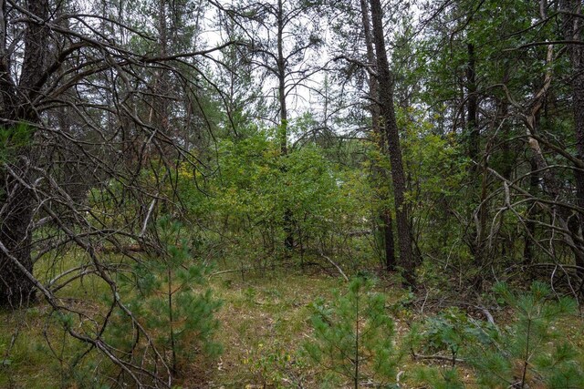 LOT46 Fern Ln, Wisconsin Dells, WI 53965