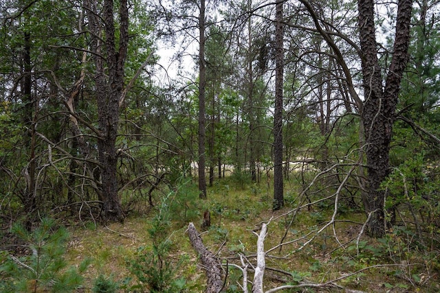 LOT46 Fern Ln, Wisconsin Dells, WI 53965