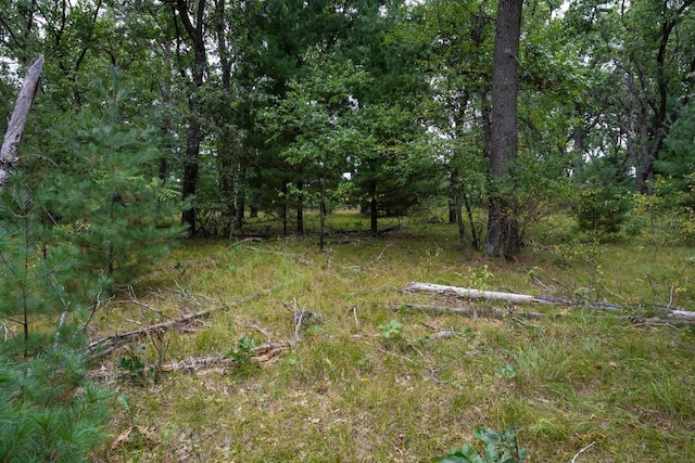 LOT46 Fern Ln, Wisconsin Dells, WI 53965