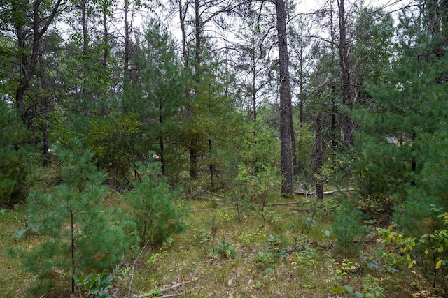 LOT46 Fern Ln, Wisconsin Dells, WI 53965
