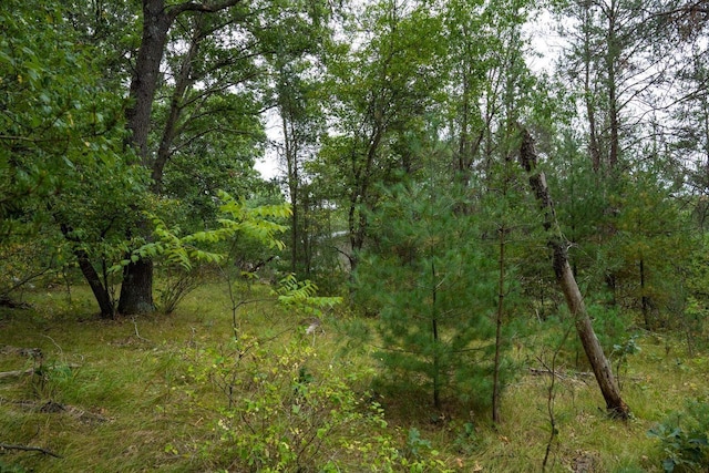 LOT46 Fern Ln, Wisconsin Dells, WI 53965