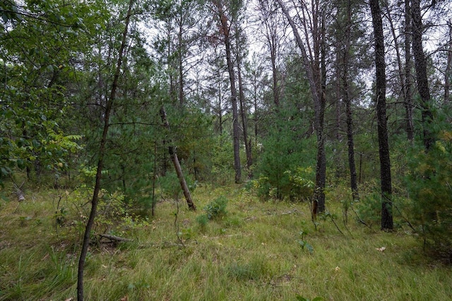 LOT46 Fern Ln, Wisconsin Dells, WI 53965