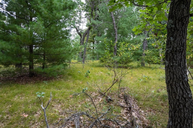 LOT46 Fern Ln, Wisconsin Dells, WI 53965