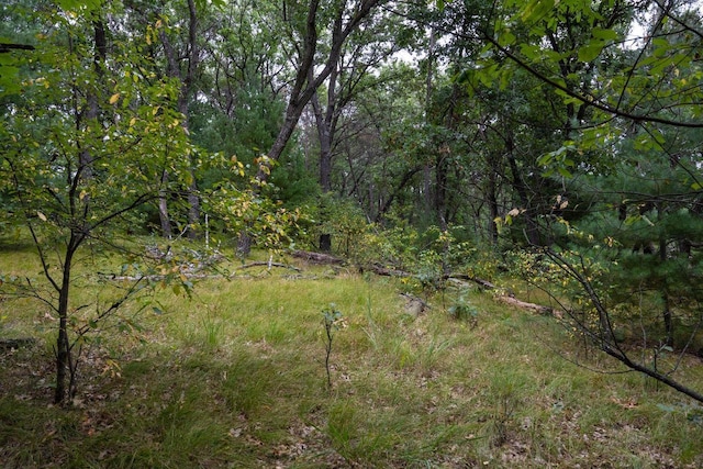LOT46 Fern Ln, Wisconsin Dells, WI 53965