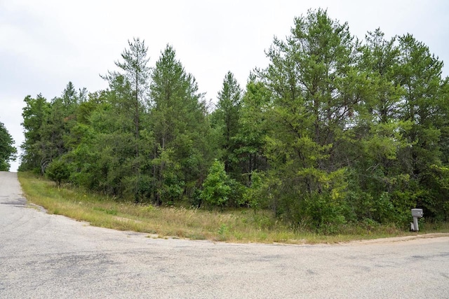 LOT46 Fern Ln, Wisconsin Dells, WI 53965