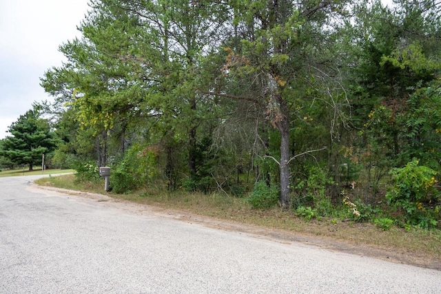 LOT46 Fern Ln, Wisconsin Dells, WI 53965