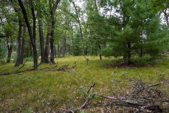 LOT46 Fern Ln, Wisconsin Dells, WI 53965