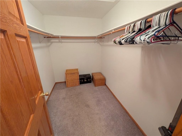 1380 101st Cir, Amery, WI 54001 - spacious closet with carpet flooring