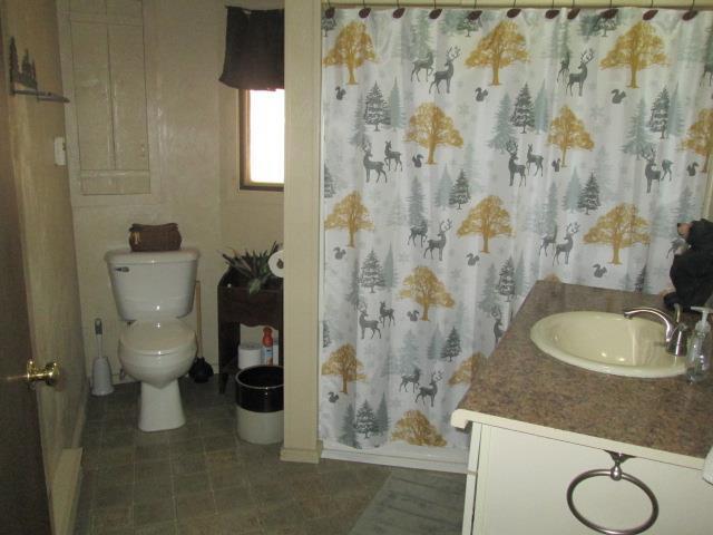 N3880 Deer Path, Hancock, WI 54943 - bathroom with toilet, vanity, a shower with curtain, and baseboards
