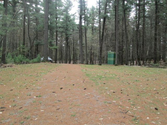 N3880 Deer Path, Hancock, WI 54943 - view of tree filled area