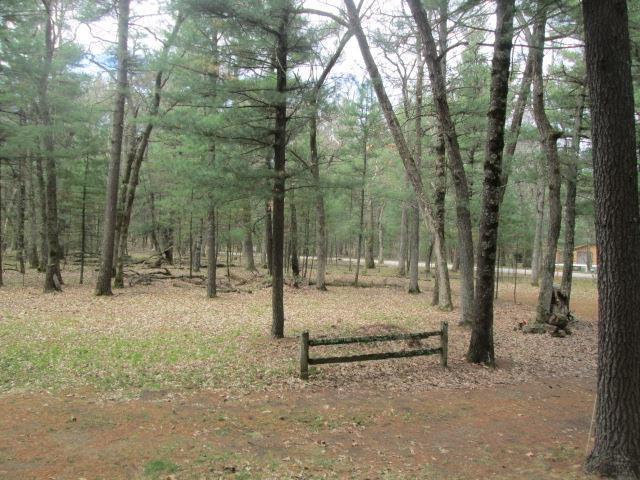 N3880 Deer Path, Hancock, WI 54943 - view of local wilderness