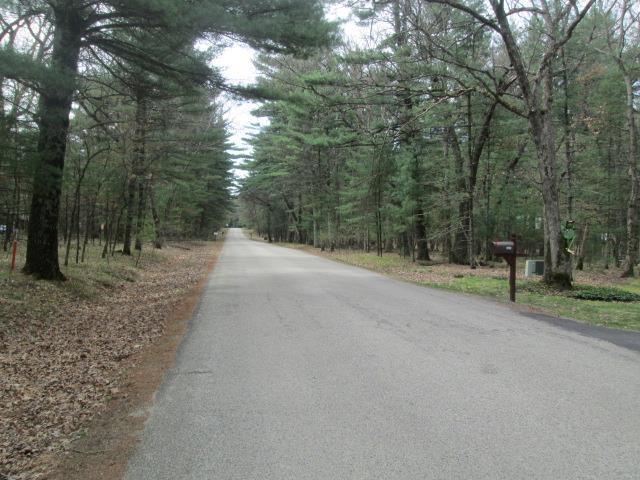 N3880 Deer Path, Hancock, WI 54943 - view of asphalt road with a wooded view
