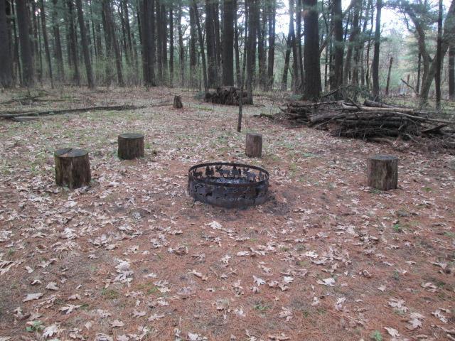 N3880 Deer Path, Hancock, WI 54943 - view of yard with a fire pit