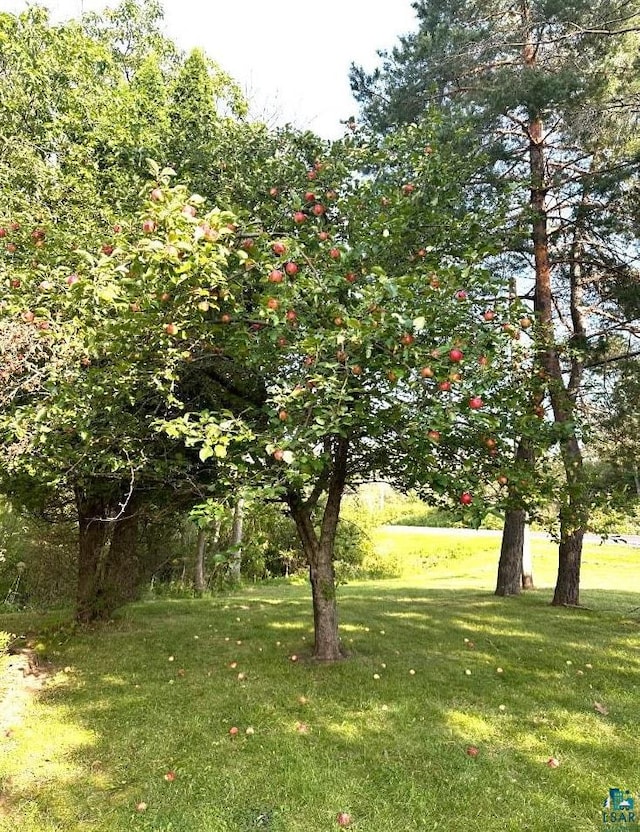 7113 E County Rd E, South Range, WI 54874 - view of green lawn