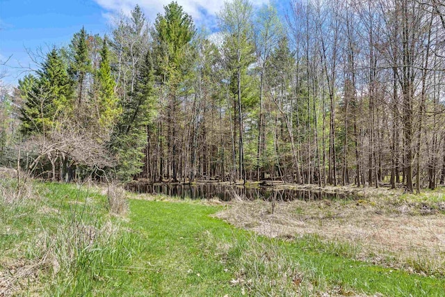 175 Old Wausau Rd, Stevens Point, WI 54481 - view of wooded area
