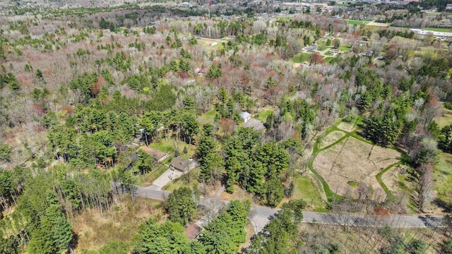 175 Old Wausau Rd, Stevens Point, WI 54481 - aerial view of property and surrounding area