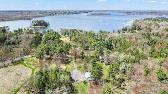 175 Old Wausau Rd, Stevens Point, WI 54481 - aerial view of a large body of water and a heavily wooded area