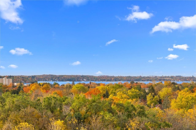 580 S Stone Ridge Dr, Lake Geneva, WI 53147 - view of wooded area featuring a water view