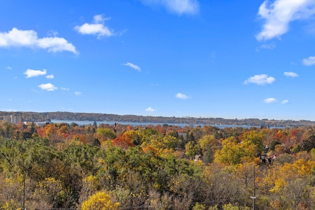 580 S Stone Ridge Dr, Lake Geneva, WI 53147 - view of woods with a water view