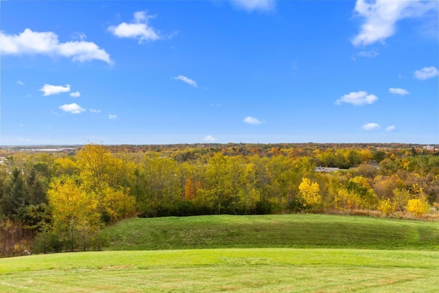 580 S Stone Ridge Dr, Lake Geneva, WI 53147 - view of grassy yard with a view of trees