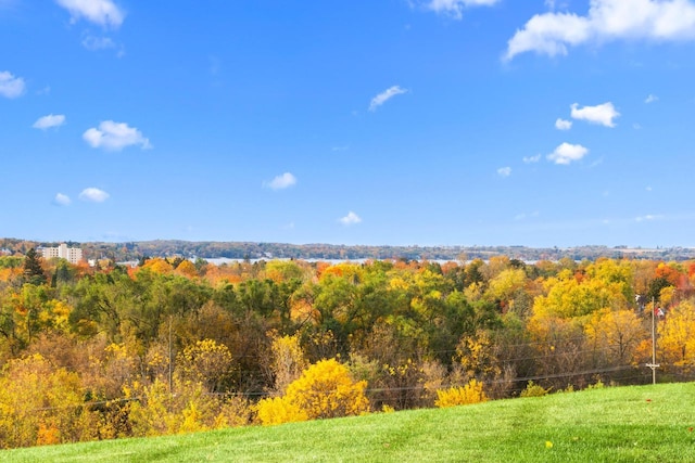 580 S Stone Ridge Dr, Lake Geneva, WI 53147 - view of grassy yard featuring a view of trees