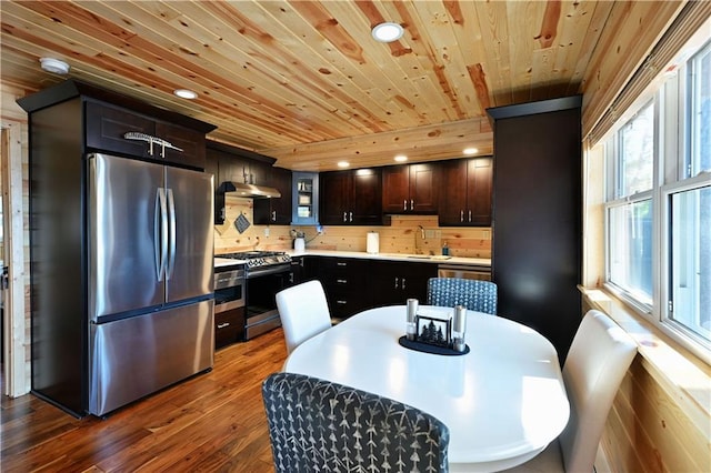 2097 Sunnyside Rd, Danbury, WI 54830 - kitchen with appliances with stainless steel finishes, under cabinet range hood, wood ceiling, a sink, and dark wood-style flooring