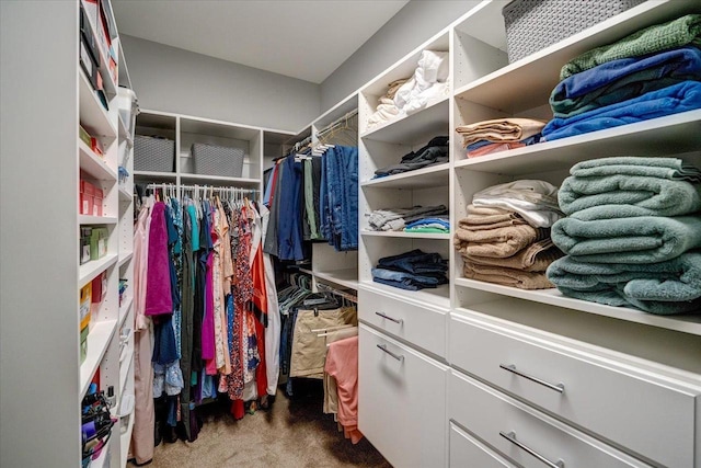 824 Richard Way, Waunakee, WI 53597 - spacious closet featuring carpet