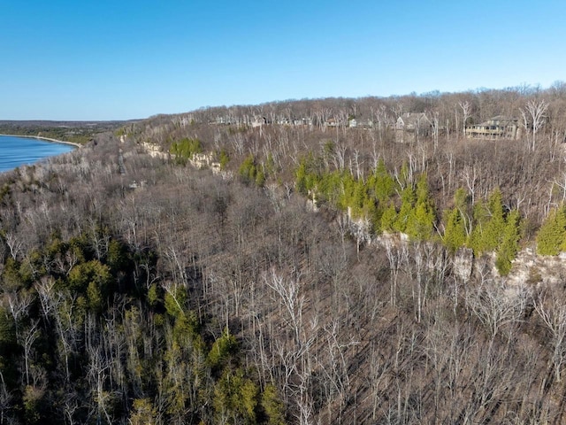 bird's eye view of a nearby body of water